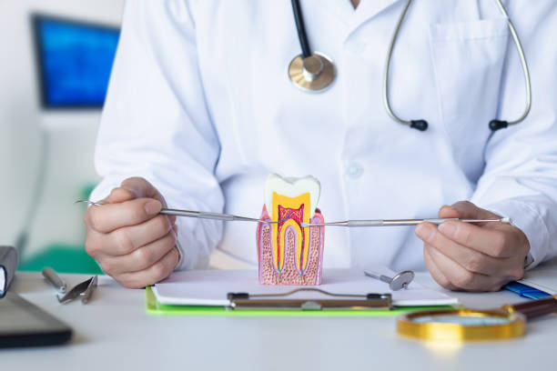 Best Emergency Dentist for Knocked-Out Tooth in Man, IL